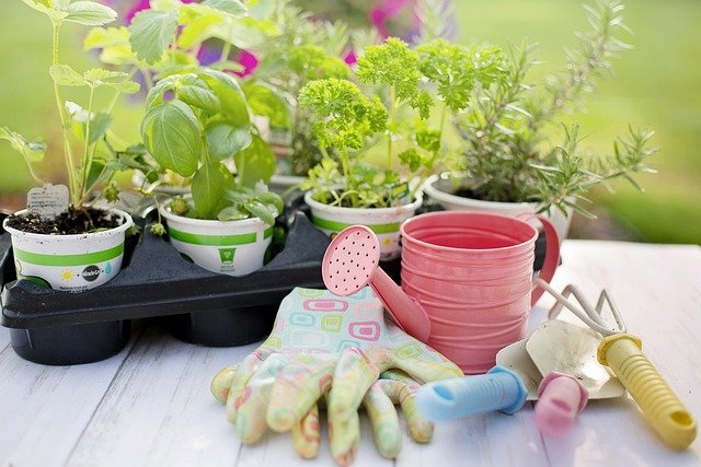 Urban Gardening: How to Grow Your Own Food in Small Spaces