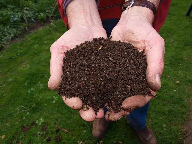 Composting 101: Turning Kitchen Waste into Black Gold