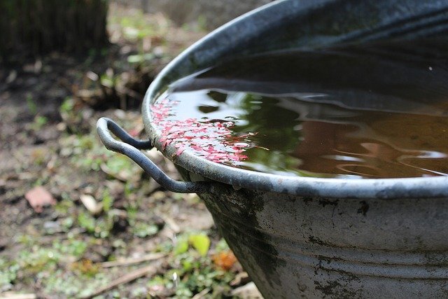 Rainwater Harvesting Techniques for Sustainable Gardening