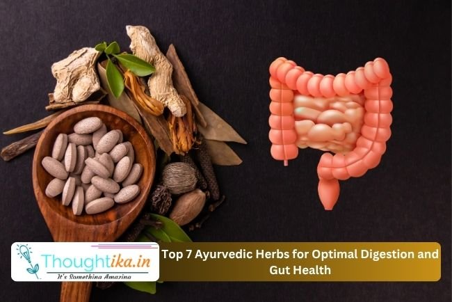 Top 7 Ayurvedic Herbs for Optimal Digestion and Gut Health