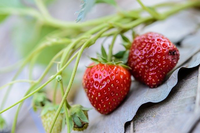 Healthy Breakfast Ideas Strawberry